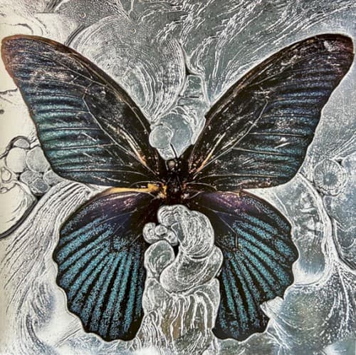 Nymph_O